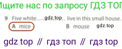 Английский язык (english), 5 класс контрольные задания (test booklet), авторы: Ваулина Юлия Евгеньевна (Vaulina Julia), Дули Дженни (Dooley Jenny), Подоляко Ольга Евгеньевна (Podolyako Olga), Эванс Вирджиния (Evans Virginia), издательство Просвещение, Москва, 2023, белого цвета, страница 96, номер 9, Решение 2 (2023-2027)