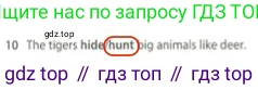 Английский язык (english), 5 класс контрольные задания (test booklet), авторы: Ваулина Юлия Евгеньевна (Vaulina Julia), Дули Дженни (Dooley Jenny), Подоляко Ольга Евгеньевна (Podolyako Olga), Эванс Вирджиния (Evans Virginia), издательство Просвещение, Москва, 2023, белого цвета, страница 104, номер 10, Решение 2 (2023-2027)