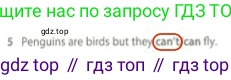 Английский язык (english), 5 класс контрольные задания (test booklet), авторы: Ваулина Юлия Евгеньевна (Vaulina Julia), Дули Дженни (Dooley Jenny), Подоляко Ольга Евгеньевна (Podolyako Olga), Эванс Вирджиния (Evans Virginia), издательство Просвещение, Москва, 2023, белого цвета, страница 104, номер 5, Решение 2 (2023-2027)