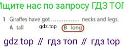 Английский язык (english), 5 класс контрольные задания (test booklet), авторы: Ваулина Юлия Евгеньевна (Vaulina Julia), Дули Дженни (Dooley Jenny), Подоляко Ольга Евгеньевна (Podolyako Olga), Эванс Вирджиния (Evans Virginia), издательство Просвещение, Москва, 2023, белого цвета, страница 105, номер 1, Решение 2 (2023-2027)