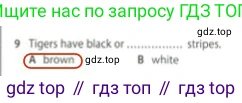 Английский язык (english), 5 класс контрольные задания (test booklet), авторы: Ваулина Юлия Евгеньевна (Vaulina Julia), Дули Дженни (Dooley Jenny), Подоляко Ольга Евгеньевна (Podolyako Olga), Эванс Вирджиния (Evans Virginia), издательство Просвещение, Москва, 2023, белого цвета, страница 105, номер 9, Решение 2 (2023-2027)