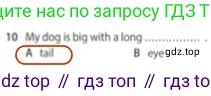 Английский язык (english), 5 класс контрольные задания (test booklet), авторы: Ваулина Юлия Евгеньевна (Vaulina Julia), Дули Дженни (Dooley Jenny), Подоляко Ольга Евгеньевна (Podolyako Olga), Эванс Вирджиния (Evans Virginia), издательство Просвещение, Москва, 2023, белого цвета, страница 106, номер 10, Решение 2 (2023-2027)