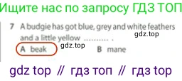 Английский язык (english), 5 класс контрольные задания (test booklet), авторы: Ваулина Юлия Евгеньевна (Vaulina Julia), Дули Дженни (Dooley Jenny), Подоляко Ольга Евгеньевна (Podolyako Olga), Эванс Вирджиния (Evans Virginia), издательство Просвещение, Москва, 2023, белого цвета, страница 106, номер 7, Решение 2 (2023-2027)