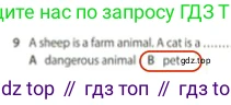 Английский язык (english), 5 класс контрольные задания (test booklet), авторы: Ваулина Юлия Евгеньевна (Vaulina Julia), Дули Дженни (Dooley Jenny), Подоляко Ольга Евгеньевна (Podolyako Olga), Эванс Вирджиния (Evans Virginia), издательство Просвещение, Москва, 2023, белого цвета, страница 106, номер 9, Решение 2 (2023-2027)