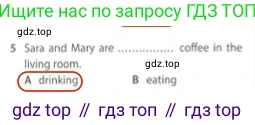 Английский язык (english), 5 класс контрольные задания (test booklet), авторы: Ваулина Юлия Евгеньевна (Vaulina Julia), Дули Дженни (Dooley Jenny), Подоляко Ольга Евгеньевна (Podolyako Olga), Эванс Вирджиния (Evans Virginia), издательство Просвещение, Москва, 2023, белого цвета, страница 109, номер 5, Решение 2 (2023-2027)