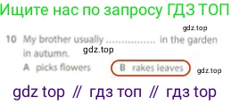 Английский язык (english), 5 класс контрольные задания (test booklet), авторы: Ваулина Юлия Евгеньевна (Vaulina Julia), Дули Дженни (Dooley Jenny), Подоляко Ольга Евгеньевна (Podolyako Olga), Эванс Вирджиния (Evans Virginia), издательство Просвещение, Москва, 2023, белого цвета, страница 110, номер 10, Решение 2 (2023-2027)