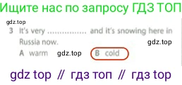 Английский язык (english), 5 класс контрольные задания (test booklet), авторы: Ваулина Юлия Евгеньевна (Vaulina Julia), Дули Дженни (Dooley Jenny), Подоляко Ольга Евгеньевна (Podolyako Olga), Эванс Вирджиния (Evans Virginia), издательство Просвещение, Москва, 2023, белого цвета, страница 110, номер 3, Решение 2 (2023-2027)
