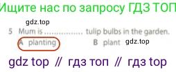 Английский язык (english), 5 класс контрольные задания (test booklet), авторы: Ваулина Юлия Евгеньевна (Vaulina Julia), Дули Дженни (Dooley Jenny), Подоляко Ольга Евгеньевна (Podolyako Olga), Эванс Вирджиния (Evans Virginia), издательство Просвещение, Москва, 2023, белого цвета, страница 110, номер 5, Решение 2 (2023-2027)