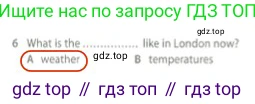 Английский язык (english), 5 класс контрольные задания (test booklet), авторы: Ваулина Юлия Евгеньевна (Vaulina Julia), Дули Дженни (Dooley Jenny), Подоляко Ольга Евгеньевна (Podolyako Olga), Эванс Вирджиния (Evans Virginia), издательство Просвещение, Москва, 2023, белого цвета, страница 110, номер 6, Решение 2 (2023-2027)
