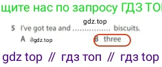 Английский язык (english), 5 класс контрольные задания (test booklet), авторы: Ваулина Юлия Евгеньевна (Vaulina Julia), Дули Дженни (Dooley Jenny), Подоляко Ольга Евгеньевна (Podolyako Olga), Эванс Вирджиния (Evans Virginia), издательство Просвещение, Москва, 2023, белого цвета, страница 113, номер 5, Решение 2 (2023-2027)