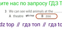 Английский язык (english), 5 класс контрольные задания (test booklet), авторы: Ваулина Юлия Евгеньевна (Vaulina Julia), Дули Дженни (Dooley Jenny), Подоляко Ольга Евгеньевна (Podolyako Olga), Эванс Вирджиния (Evans Virginia), издательство Просвещение, Москва, 2023, белого цвета, страница 117, номер 3, Решение 2 (2023-2027)