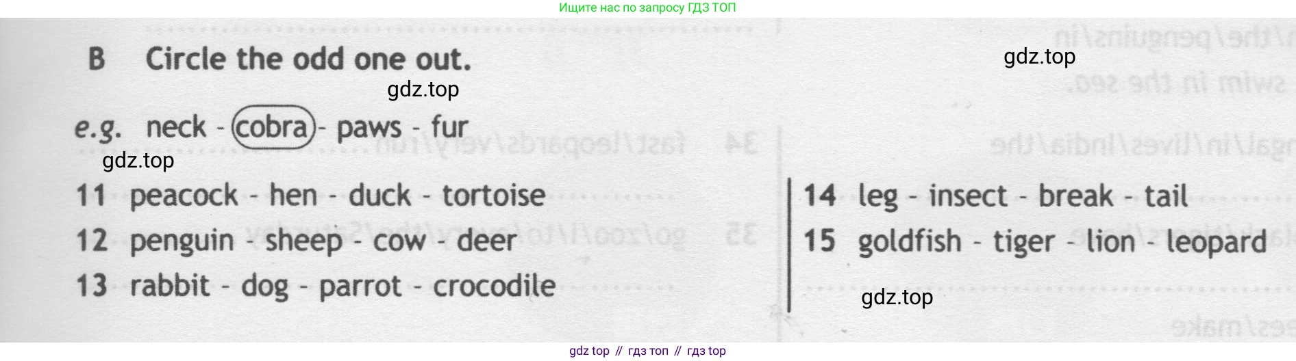 Английский язык (english), 5 класс контрольные задания (test booklet), авторы: Ваулина Юлия Евгеньевна (Vaulina Julia), Дули Дженни (Dooley Jenny), Подоляко Ольга Евгеньевна (Podolyako Olga), Эванс Вирджиния (Evans Virginia), издательство Просвещение, Москва, 2023, белого цвета, страница 37, номер B, Условие 2019-2022