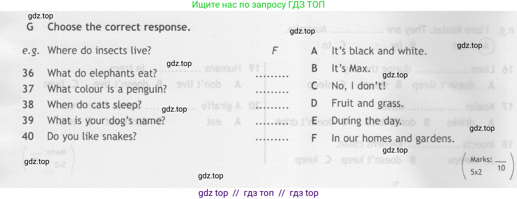 Английский язык (english), 5 класс контрольные задания (test booklet), авторы: Ваулина Юлия Евгеньевна (Vaulina Julia), Дули Дженни (Dooley Jenny), Подоляко Ольга Евгеньевна (Podolyako Olga), Эванс Вирджиния (Evans Virginia), издательство Просвещение, Москва, 2023, белого цвета, страница 38, номер G, Условие 2019-2022