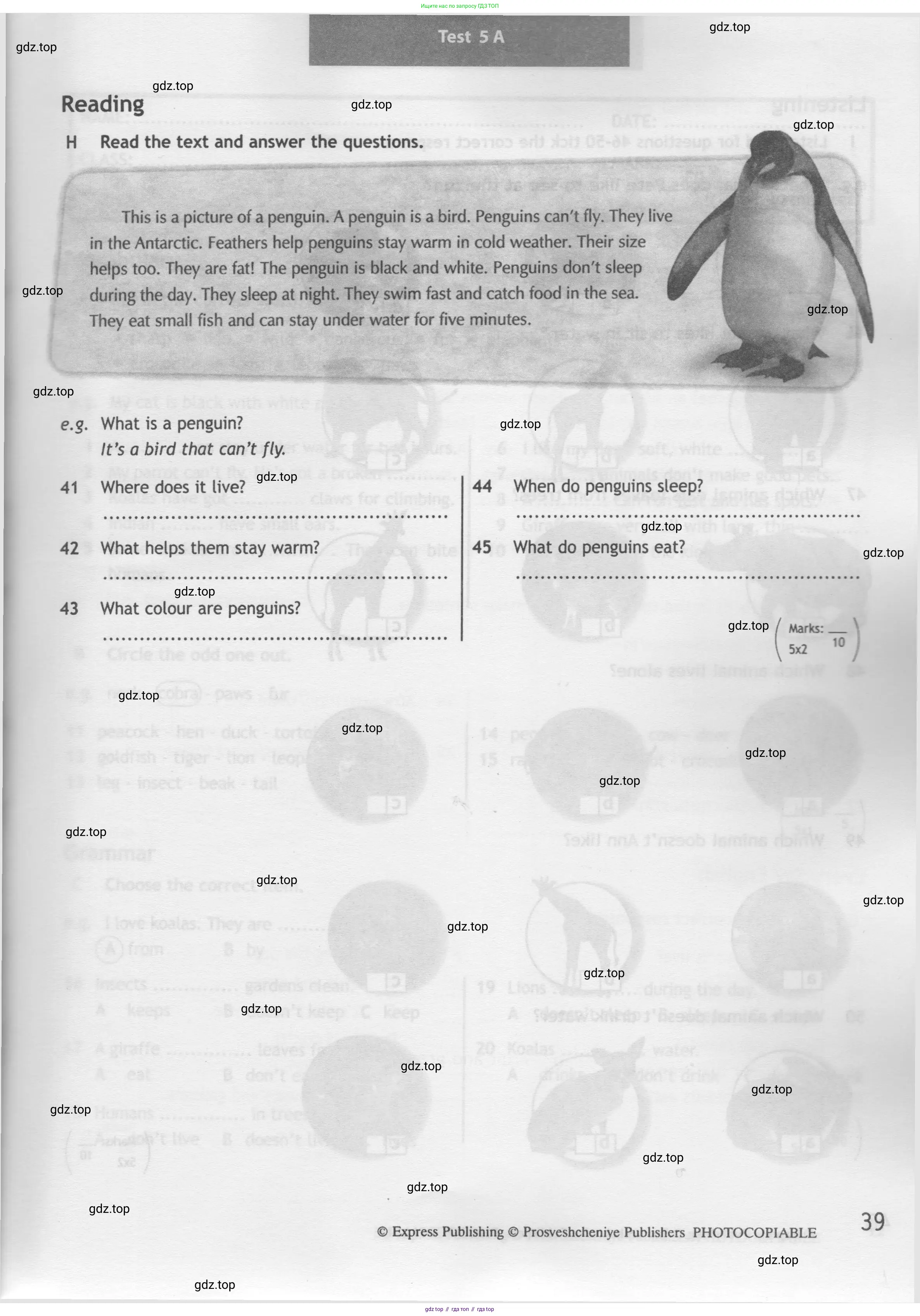 Английский язык (english), 5 класс контрольные задания (test booklet), авторы: Ваулина Юлия Евгеньевна (Vaulina Julia), Дули Дженни (Dooley Jenny), Подоляко Ольга Евгеньевна (Podolyako Olga), Эванс Вирджиния (Evans Virginia), издательство Просвещение, Москва, 2023, белого цвета, страница 39