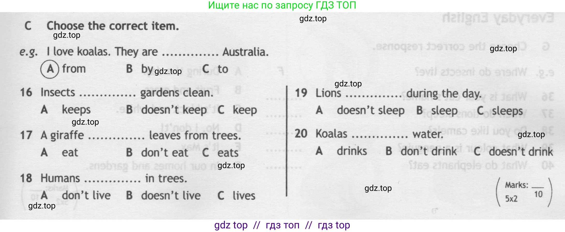 Английский язык (english), 5 класс контрольные задания (test booklet), авторы: Ваулина Юлия Евгеньевна (Vaulina Julia), Дули Дженни (Dooley Jenny), Подоляко Ольга Евгеньевна (Podolyako Olga), Эванс Вирджиния (Evans Virginia), издательство Просвещение, Москва, 2023, белого цвета, страница 41, номер C, Условие 2019-2022