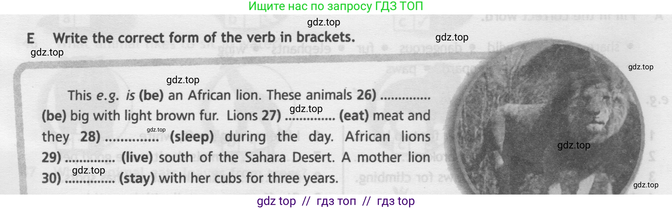 Английский язык (english), 5 класс контрольные задания (test booklet), авторы: Ваулина Юлия Евгеньевна (Vaulina Julia), Дули Дженни (Dooley Jenny), Подоляко Ольга Евгеньевна (Podolyako Olga), Эванс Вирджиния (Evans Virginia), издательство Просвещение, Москва, 2023, белого цвета, страница 42, номер E, Условие 2019-2022
