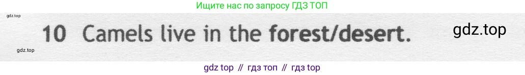 Английский язык (english), 5 класс контрольные задания (test booklet), авторы: Ваулина Юлия Евгеньевна (Vaulina Julia), Дули Дженни (Dooley Jenny), Подоляко Ольга Евгеньевна (Podolyako Olga), Эванс Вирджиния (Evans Virginia), издательство Просвещение, Москва, 2023, белого цвета, страница 104, номер 10, Условие 2019-2022