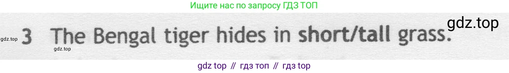 Английский язык (english), 5 класс контрольные задания (test booklet), авторы: Ваулина Юлия Евгеньевна (Vaulina Julia), Дули Дженни (Dooley Jenny), Подоляко Ольга Евгеньевна (Podolyako Olga), Эванс Вирджиния (Evans Virginia), издательство Просвещение, Москва, 2023, белого цвета, страница 104, номер 3, Условие 2019-2022