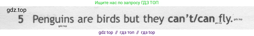Английский язык (english), 5 класс контрольные задания (test booklet), авторы: Ваулина Юлия Евгеньевна (Vaulina Julia), Дули Дженни (Dooley Jenny), Подоляко Ольга Евгеньевна (Podolyako Olga), Эванс Вирджиния (Evans Virginia), издательство Просвещение, Москва, 2023, белого цвета, страница 104, номер 5, Условие 2019-2022