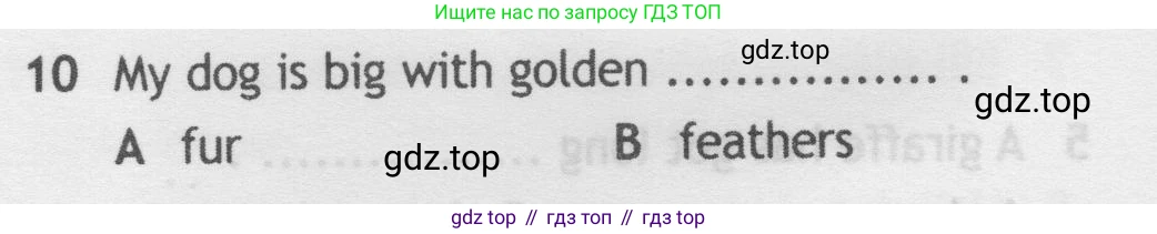 Английский язык (english), 5 класс контрольные задания (test booklet), авторы: Ваулина Юлия Евгеньевна (Vaulina Julia), Дули Дженни (Dooley Jenny), Подоляко Ольга Евгеньевна (Podolyako Olga), Эванс Вирджиния (Evans Virginia), издательство Просвещение, Москва, 2023, белого цвета, страница 106, номер 10, Условие 2019-2022
