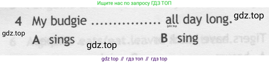 Английский язык (english), 5 класс контрольные задания (test booklet), авторы: Ваулина Юлия Евгеньевна (Vaulina Julia), Дули Дженни (Dooley Jenny), Подоляко Ольга Евгеньевна (Podolyako Olga), Эванс Вирджиния (Evans Virginia), издательство Просвещение, Москва, 2023, белого цвета, страница 106, номер 4, Условие 2019-2022