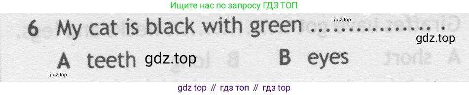 Английский язык (english), 5 класс контрольные задания (test booklet), авторы: Ваулина Юлия Евгеньевна (Vaulina Julia), Дули Дженни (Dooley Jenny), Подоляко Ольга Евгеньевна (Podolyako Olga), Эванс Вирджиния (Evans Virginia), издательство Просвещение, Москва, 2023, белого цвета, страница 106, номер 6, Условие 2019-2022