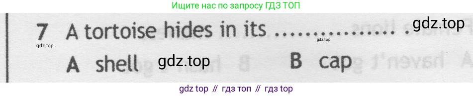 Английский язык (english), 5 класс контрольные задания (test booklet), авторы: Ваулина Юлия Евгеньевна (Vaulina Julia), Дули Дженни (Dooley Jenny), Подоляко Ольга Евгеньевна (Podolyako Olga), Эванс Вирджиния (Evans Virginia), издательство Просвещение, Москва, 2023, белого цвета, страница 106, номер 7, Условие 2019-2022