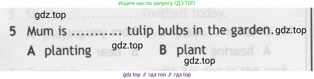 Английский язык (english), 5 класс контрольные задания (test booklet), авторы: Ваулина Юлия Евгеньевна (Vaulina Julia), Дули Дженни (Dooley Jenny), Подоляко Ольга Евгеньевна (Podolyako Olga), Эванс Вирджиния (Evans Virginia), издательство Просвещение, Москва, 2023, белого цвета, страница 110, номер 5, Условие 2019-2022