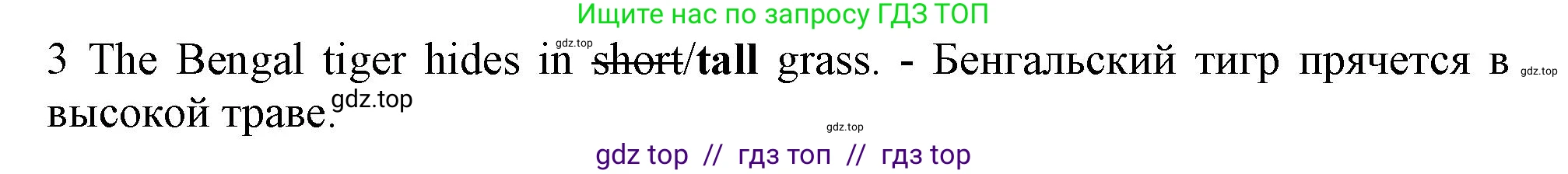 Английский язык (english), 5 класс контрольные задания (test booklet), авторы: Ваулина Юлия Евгеньевна (Vaulina Julia), Дули Дженни (Dooley Jenny), Подоляко Ольга Евгеньевна (Podolyako Olga), Эванс Вирджиния (Evans Virginia), издательство Просвещение, Москва, 2023, белого цвета, страница 104, номер 3, Решение 1 (2019-2022)