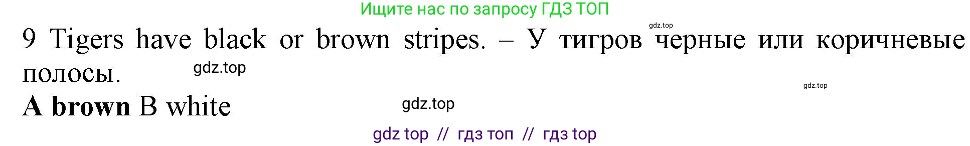 Английский язык (english), 5 класс контрольные задания (test booklet), авторы: Ваулина Юлия Евгеньевна (Vaulina Julia), Дули Дженни (Dooley Jenny), Подоляко Ольга Евгеньевна (Podolyako Olga), Эванс Вирджиния (Evans Virginia), издательство Просвещение, Москва, 2023, белого цвета, страница 105, номер 9, Решение 1 (2019-2022)