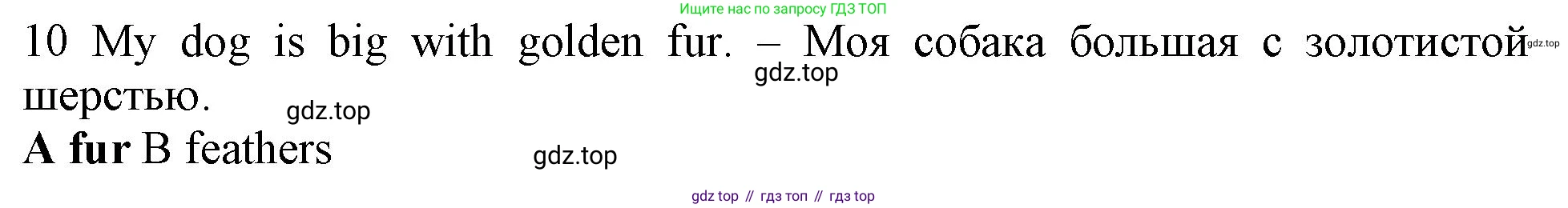 Английский язык (english), 5 класс контрольные задания (test booklet), авторы: Ваулина Юлия Евгеньевна (Vaulina Julia), Дули Дженни (Dooley Jenny), Подоляко Ольга Евгеньевна (Podolyako Olga), Эванс Вирджиния (Evans Virginia), издательство Просвещение, Москва, 2023, белого цвета, страница 106, номер 10, Решение 1 (2019-2022)