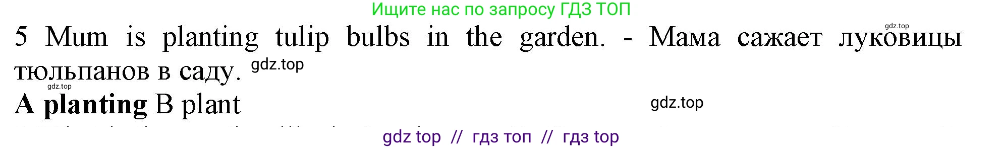 Английский язык (english), 5 класс контрольные задания (test booklet), авторы: Ваулина Юлия Евгеньевна (Vaulina Julia), Дули Дженни (Dooley Jenny), Подоляко Ольга Евгеньевна (Podolyako Olga), Эванс Вирджиния (Evans Virginia), издательство Просвещение, Москва, 2023, белого цвета, страница 110, номер 5, Решение 1 (2019-2022)