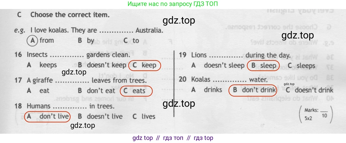 Английский язык (english), 5 класс контрольные задания (test booklet), авторы: Ваулина Юлия Евгеньевна (Vaulina Julia), Дули Дженни (Dooley Jenny), Подоляко Ольга Евгеньевна (Podolyako Olga), Эванс Вирджиния (Evans Virginia), издательство Просвещение, Москва, 2023, белого цвета, страница 41, номер C, Решение 2 (2019-2022)