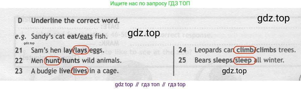 Английский язык (english), 5 класс контрольные задания (test booklet), авторы: Ваулина Юлия Евгеньевна (Vaulina Julia), Дули Дженни (Dooley Jenny), Подоляко Ольга Евгеньевна (Podolyako Olga), Эванс Вирджиния (Evans Virginia), издательство Просвещение, Москва, 2023, белого цвета, страница 42, номер D, Решение 2 (2019-2022)