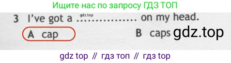 Английский язык (english), 5 класс контрольные задания (test booklet), авторы: Ваулина Юлия Евгеньевна (Vaulina Julia), Дули Дженни (Dooley Jenny), Подоляко Ольга Евгеньевна (Podolyako Olga), Эванс Вирджиния (Evans Virginia), издательство Просвещение, Москва, 2023, белого цвета, страница 96, номер 3, Решение 2 (2019-2022)
