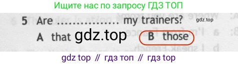 Английский язык (english), 5 класс контрольные задания (test booklet), авторы: Ваулина Юлия Евгеньевна (Vaulina Julia), Дули Дженни (Dooley Jenny), Подоляко Ольга Евгеньевна (Podolyako Olga), Эванс Вирджиния (Evans Virginia), издательство Просвещение, Москва, 2023, белого цвета, страница 96, номер 5, Решение 2 (2019-2022)