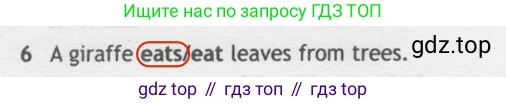 Английский язык (english), 5 класс контрольные задания (test booklet), авторы: Ваулина Юлия Евгеньевна (Vaulina Julia), Дули Дженни (Dooley Jenny), Подоляко Ольга Евгеньевна (Podolyako Olga), Эванс Вирджиния (Evans Virginia), издательство Просвещение, Москва, 2023, белого цвета, страница 104, номер 6, Решение 2 (2019-2022)