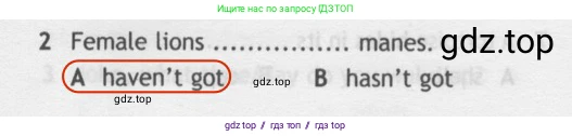 Английский язык (english), 5 класс контрольные задания (test booklet), авторы: Ваулина Юлия Евгеньевна (Vaulina Julia), Дули Дженни (Dooley Jenny), Подоляко Ольга Евгеньевна (Podolyako Olga), Эванс Вирджиния (Evans Virginia), издательство Просвещение, Москва, 2023, белого цвета, страница 105, номер 2, Решение 2 (2019-2022)