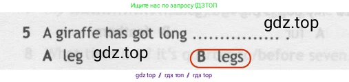 Английский язык (english), 5 класс контрольные задания (test booklet), авторы: Ваулина Юлия Евгеньевна (Vaulina Julia), Дули Дженни (Dooley Jenny), Подоляко Ольга Евгеньевна (Podolyako Olga), Эванс Вирджиния (Evans Virginia), издательство Просвещение, Москва, 2023, белого цвета, страница 105, номер 5, Решение 2 (2019-2022)