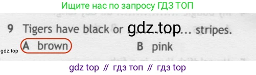 Английский язык (english), 5 класс контрольные задания (test booklet), авторы: Ваулина Юлия Евгеньевна (Vaulina Julia), Дули Дженни (Dooley Jenny), Подоляко Ольга Евгеньевна (Podolyako Olga), Эванс Вирджиния (Evans Virginia), издательство Просвещение, Москва, 2023, белого цвета, страница 105, номер 9, Решение 2 (2019-2022)