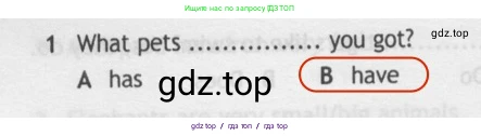 Английский язык (english), 5 класс контрольные задания (test booklet), авторы: Ваулина Юлия Евгеньевна (Vaulina Julia), Дули Дженни (Dooley Jenny), Подоляко Ольга Евгеньевна (Podolyako Olga), Эванс Вирджиния (Evans Virginia), издательство Просвещение, Москва, 2023, белого цвета, страница 106, номер 1, Решение 2 (2019-2022)