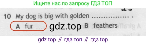 Английский язык (english), 5 класс контрольные задания (test booklet), авторы: Ваулина Юлия Евгеньевна (Vaulina Julia), Дули Дженни (Dooley Jenny), Подоляко Ольга Евгеньевна (Podolyako Olga), Эванс Вирджиния (Evans Virginia), издательство Просвещение, Москва, 2023, белого цвета, страница 106, номер 10, Решение 2 (2019-2022)