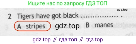 Английский язык (english), 5 класс контрольные задания (test booklet), авторы: Ваулина Юлия Евгеньевна (Vaulina Julia), Дули Дженни (Dooley Jenny), Подоляко Ольга Евгеньевна (Podolyako Olga), Эванс Вирджиния (Evans Virginia), издательство Просвещение, Москва, 2023, белого цвета, страница 106, номер 2, Решение 2 (2019-2022)