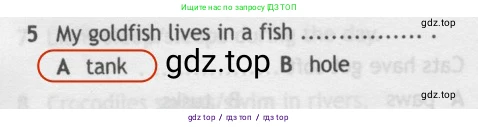 Английский язык (english), 5 класс контрольные задания (test booklet), авторы: Ваулина Юлия Евгеньевна (Vaulina Julia), Дули Дженни (Dooley Jenny), Подоляко Ольга Евгеньевна (Podolyako Olga), Эванс Вирджиния (Evans Virginia), издательство Просвещение, Москва, 2023, белого цвета, страница 106, номер 5, Решение 2 (2019-2022)
