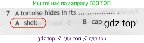 Английский язык (english), 5 класс контрольные задания (test booklet), авторы: Ваулина Юлия Евгеньевна (Vaulina Julia), Дули Дженни (Dooley Jenny), Подоляко Ольга Евгеньевна (Podolyako Olga), Эванс Вирджиния (Evans Virginia), издательство Просвещение, Москва, 2023, белого цвета, страница 106, номер 7, Решение 2 (2019-2022)