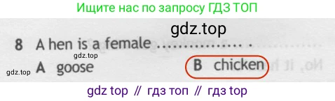 Английский язык (english), 5 класс контрольные задания (test booklet), авторы: Ваулина Юлия Евгеньевна (Vaulina Julia), Дули Дженни (Dooley Jenny), Подоляко Ольга Евгеньевна (Podolyako Olga), Эванс Вирджиния (Evans Virginia), издательство Просвещение, Москва, 2023, белого цвета, страница 106, номер 8, Решение 2 (2019-2022)