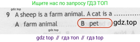 Английский язык (english), 5 класс контрольные задания (test booklet), авторы: Ваулина Юлия Евгеньевна (Vaulina Julia), Дули Дженни (Dooley Jenny), Подоляко Ольга Евгеньевна (Podolyako Olga), Эванс Вирджиния (Evans Virginia), издательство Просвещение, Москва, 2023, белого цвета, страница 106, номер 9, Решение 2 (2019-2022)