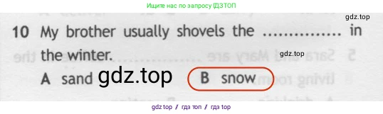Английский язык (english), 5 класс контрольные задания (test booklet), авторы: Ваулина Юлия Евгеньевна (Vaulina Julia), Дули Дженни (Dooley Jenny), Подоляко Ольга Евгеньевна (Podolyako Olga), Эванс Вирджиния (Evans Virginia), издательство Просвещение, Москва, 2023, белого цвета, страница 110, номер 10, Решение 2 (2019-2022)