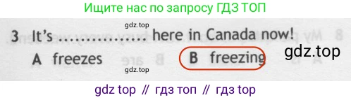 Английский язык (english), 5 класс контрольные задания (test booklet), авторы: Ваулина Юлия Евгеньевна (Vaulina Julia), Дули Дженни (Dooley Jenny), Подоляко Ольга Евгеньевна (Podolyako Olga), Эванс Вирджиния (Evans Virginia), издательство Просвещение, Москва, 2023, белого цвета, страница 110, номер 3, Решение 2 (2019-2022)