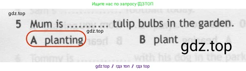 Английский язык (english), 5 класс контрольные задания (test booklet), авторы: Ваулина Юлия Евгеньевна (Vaulina Julia), Дули Дженни (Dooley Jenny), Подоляко Ольга Евгеньевна (Podolyako Olga), Эванс Вирджиния (Evans Virginia), издательство Просвещение, Москва, 2023, белого цвета, страница 110, номер 5, Решение 2 (2019-2022)